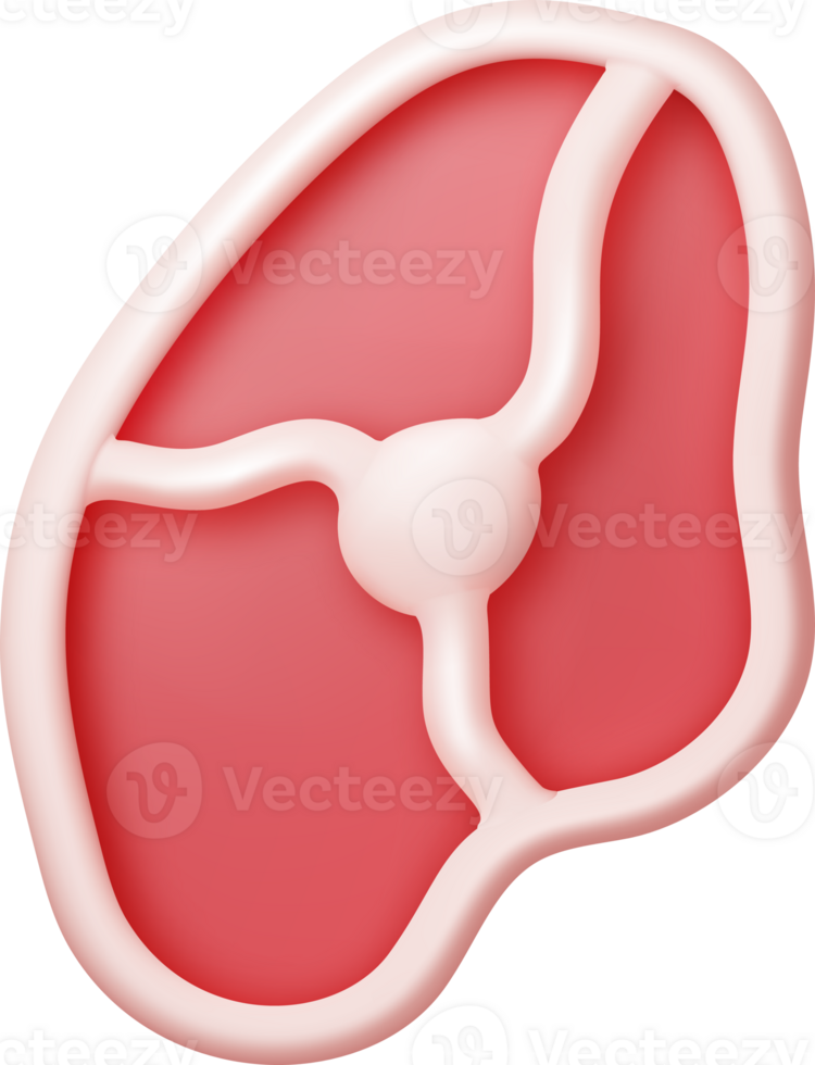3D Meat Steak png