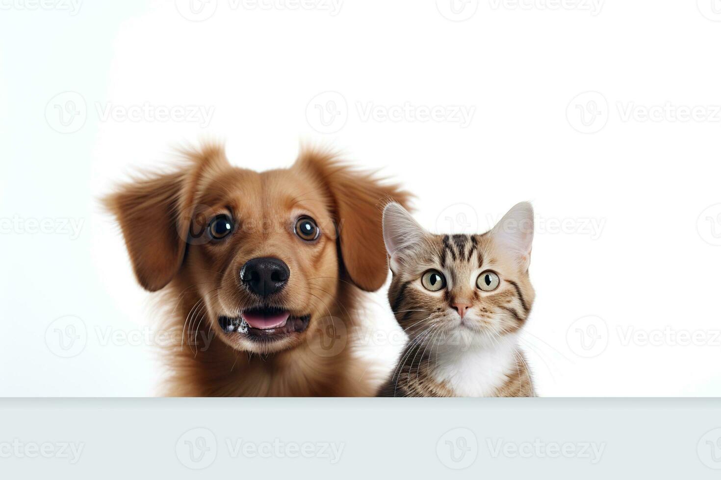 AI generated Happy Dog and Cat Behind Blank Sign photo
