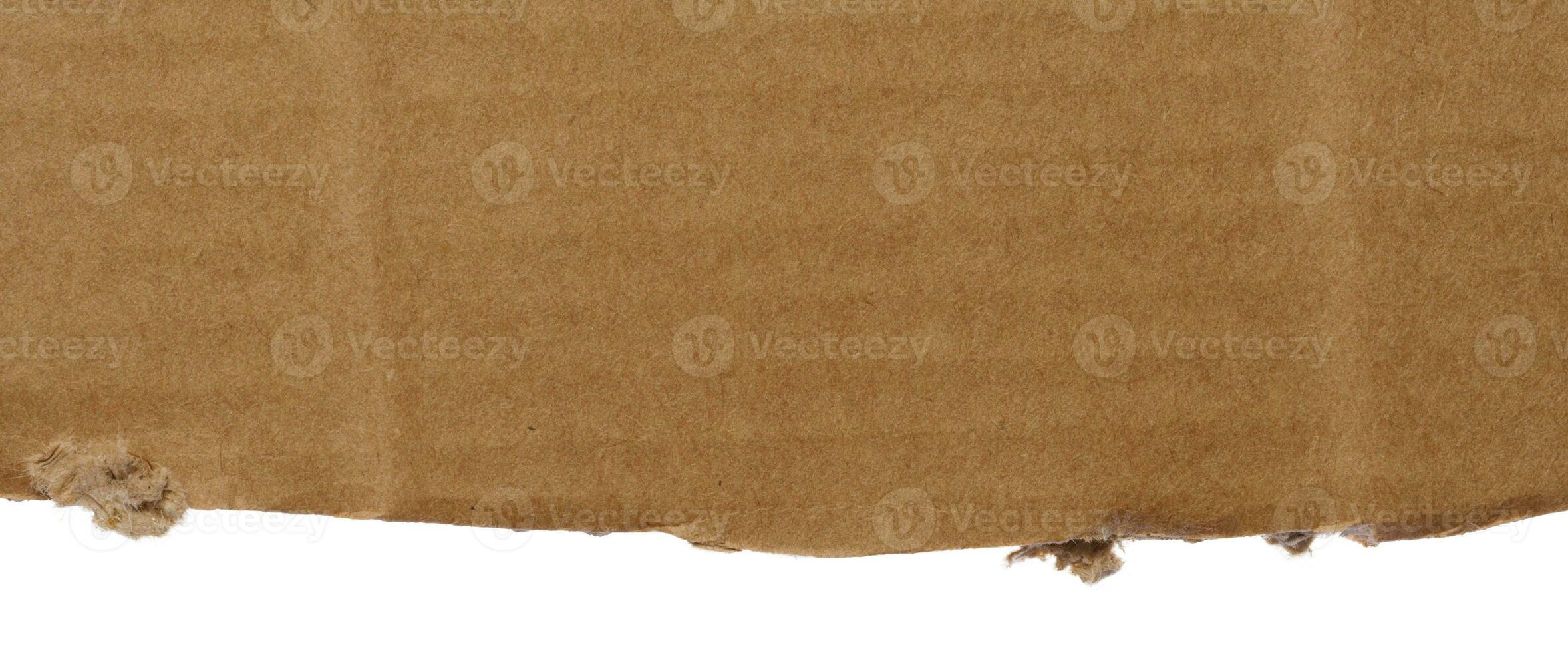 Torn piece of cardboard on a white isolated background photo