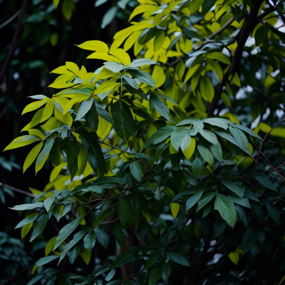 ai generado verde hojas en el bosque. naturaleza antecedentes. selectivo enfocar. generativo ai foto