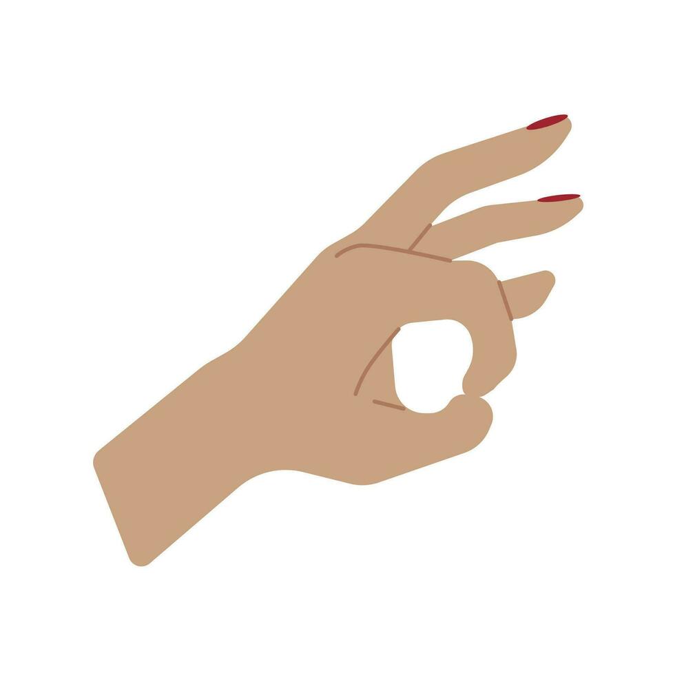 Vector illustration. Female hand isolated on white background