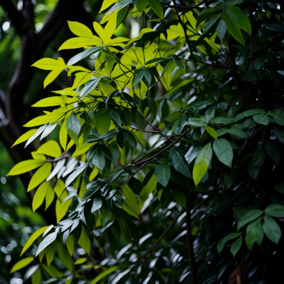 AI generated Green leaves in the garden. Nature background. Selective focus. generative ai photo