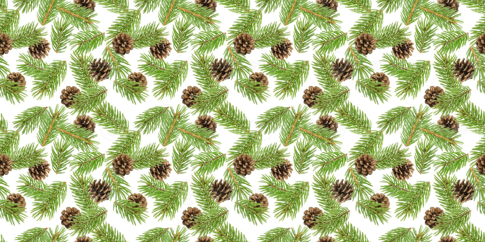 Fir tree branches seamless pattern, pine branch, Christmas conifer isolated on white background photo