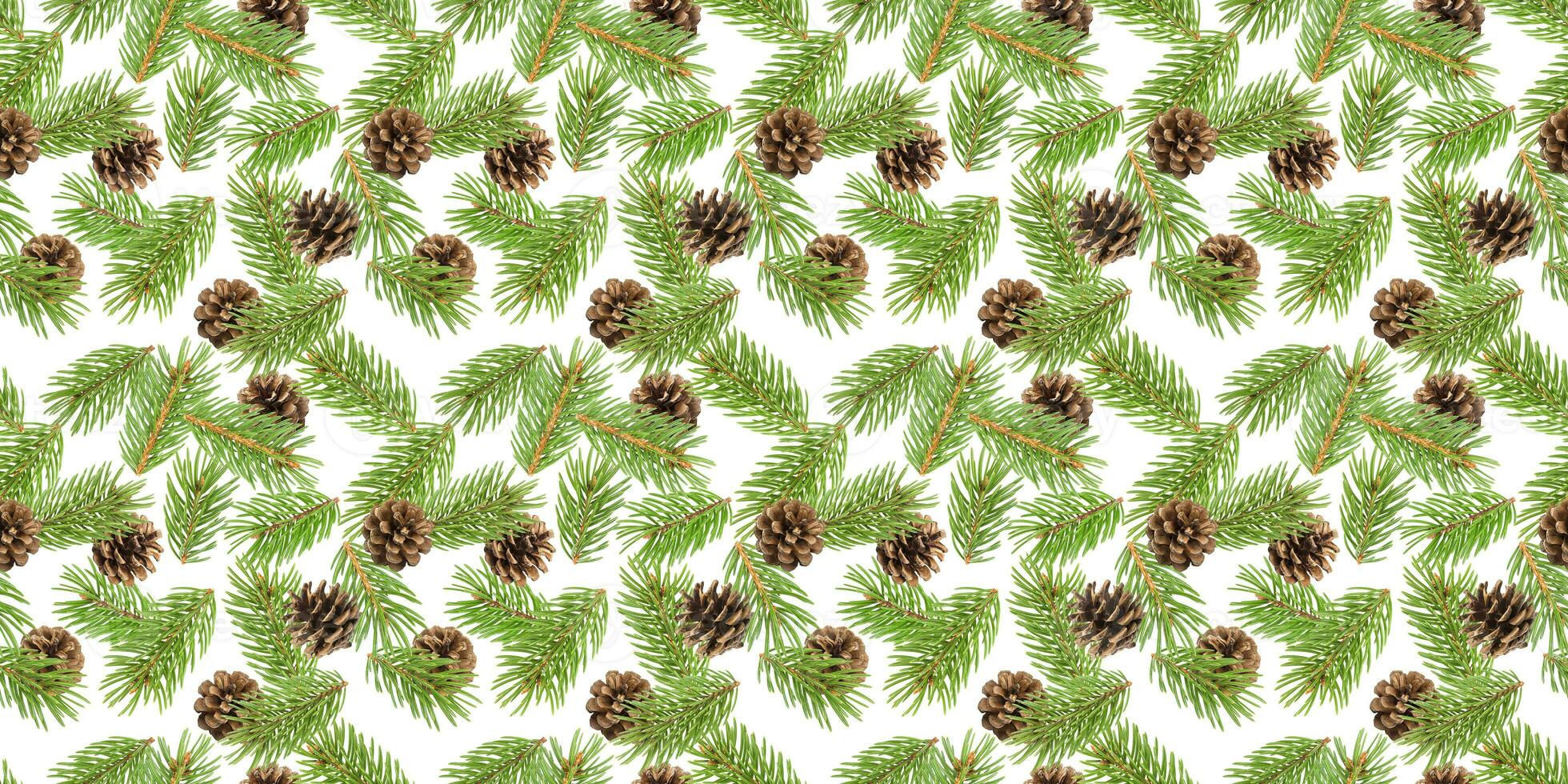 Fir tree branches seamless pattern, pine branch, Christmas conifer isolated on white background photo