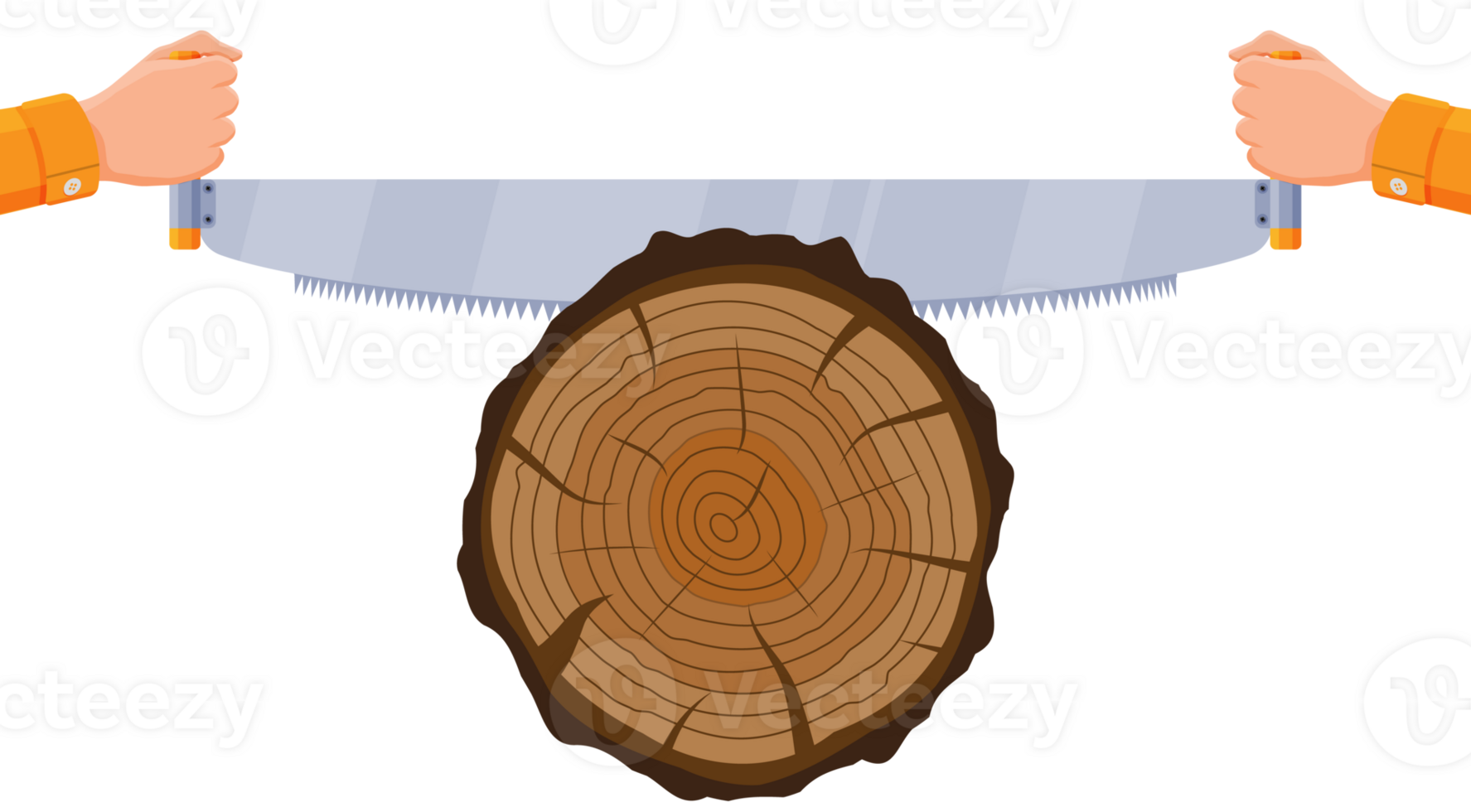 vu sciage arbre tronc png