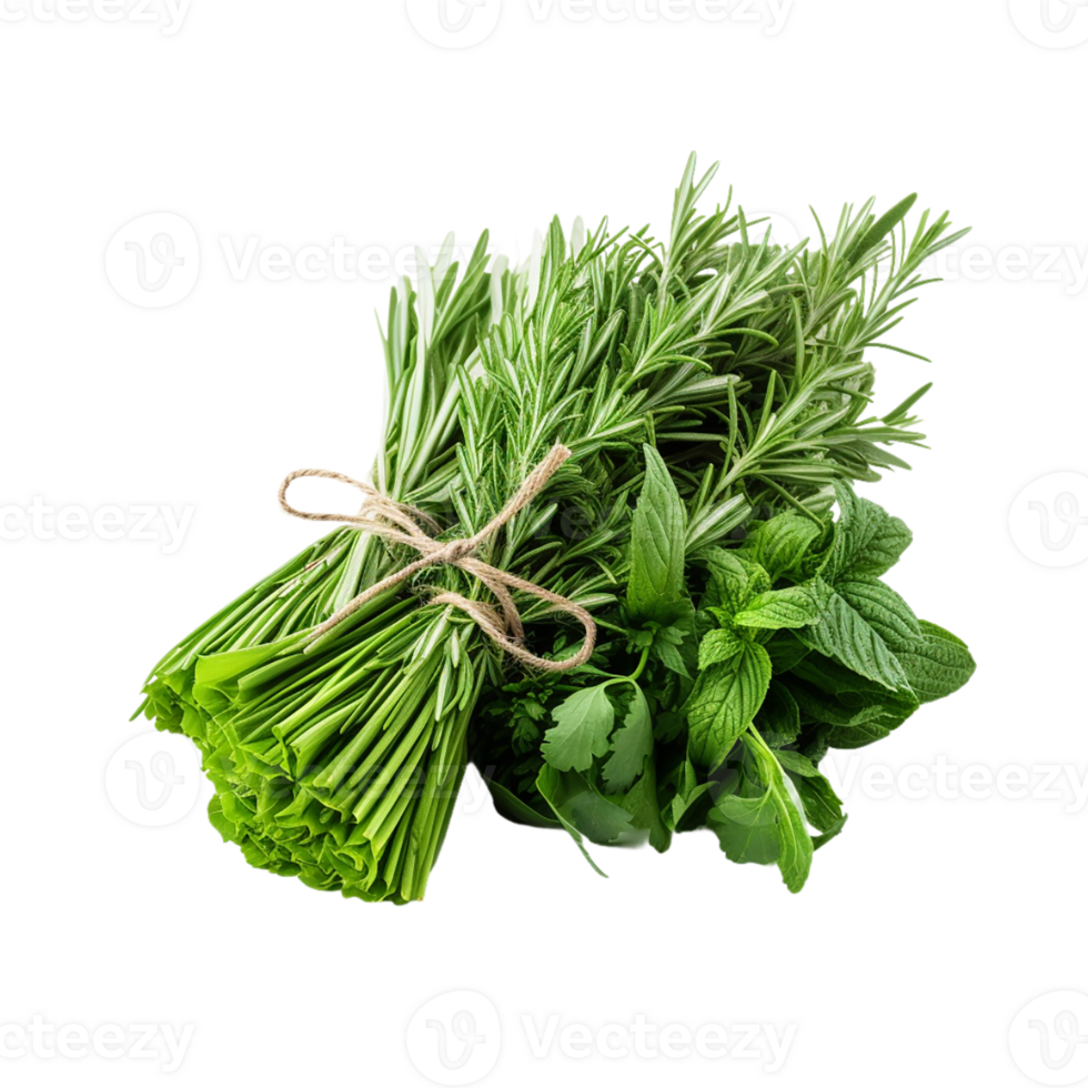 AI generated Fresh Herbs Bundle on transparent background PNG image