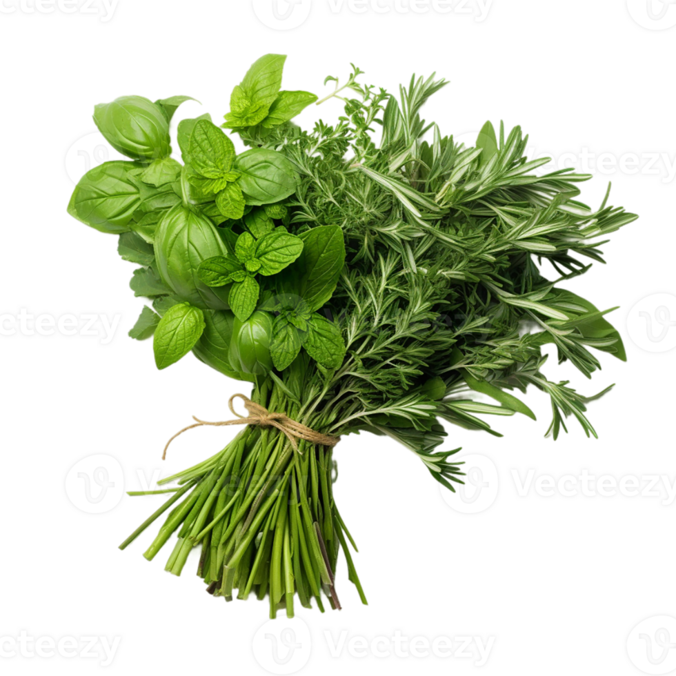 AI generated Fresh Herbs Bundle on transparent background PNG image