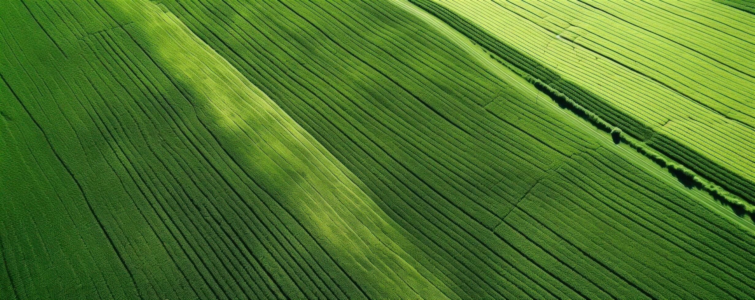 AI generated high resolution aerial footage green field photo