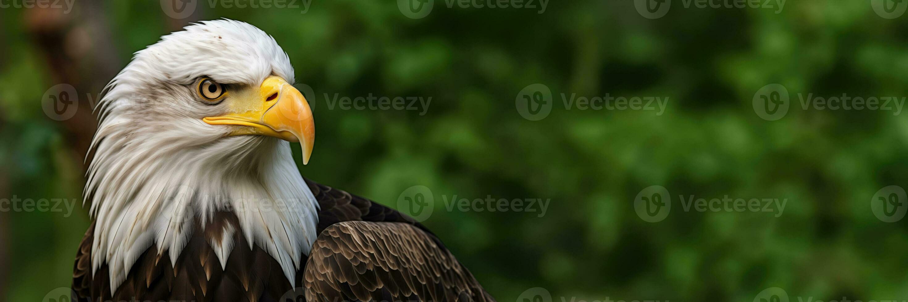 ai generado un calvo águila con americano emblemas foto