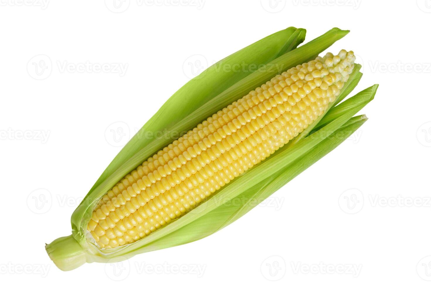 Fresh yellow ear of corn with green leaves isolated on white background photo