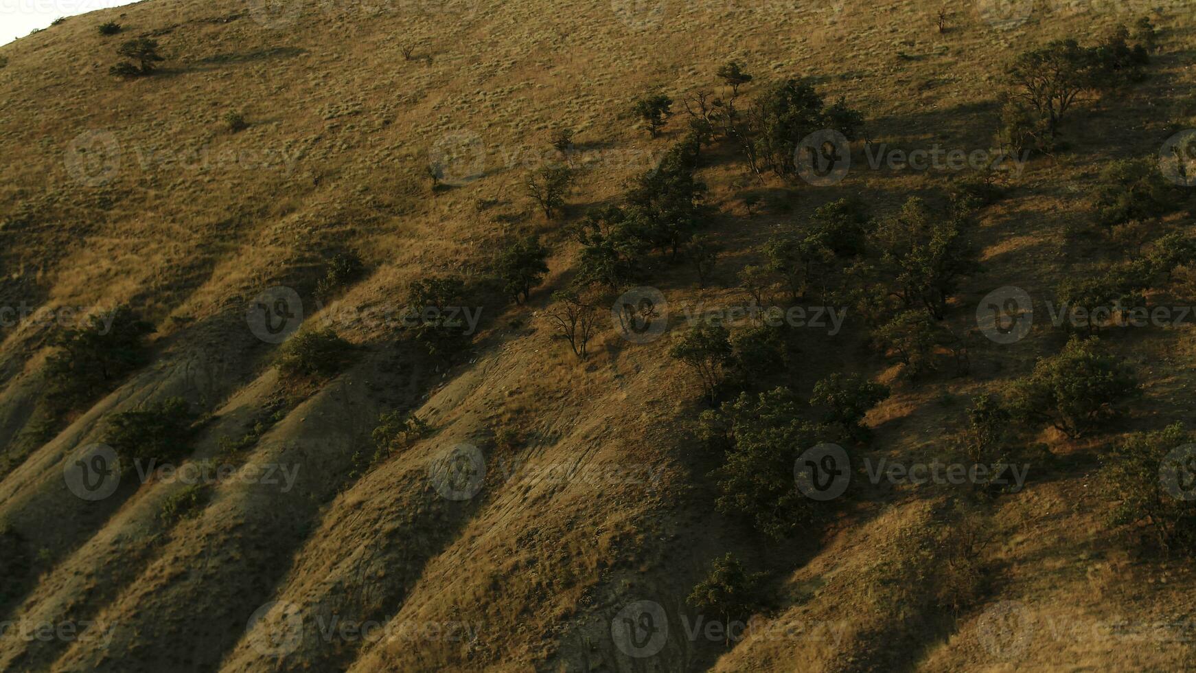 Aerial of mountain slope covered by grass ans rare trees on blue sky background. Shot. Beautiful hills under the sunset light, beauty of nature. photo