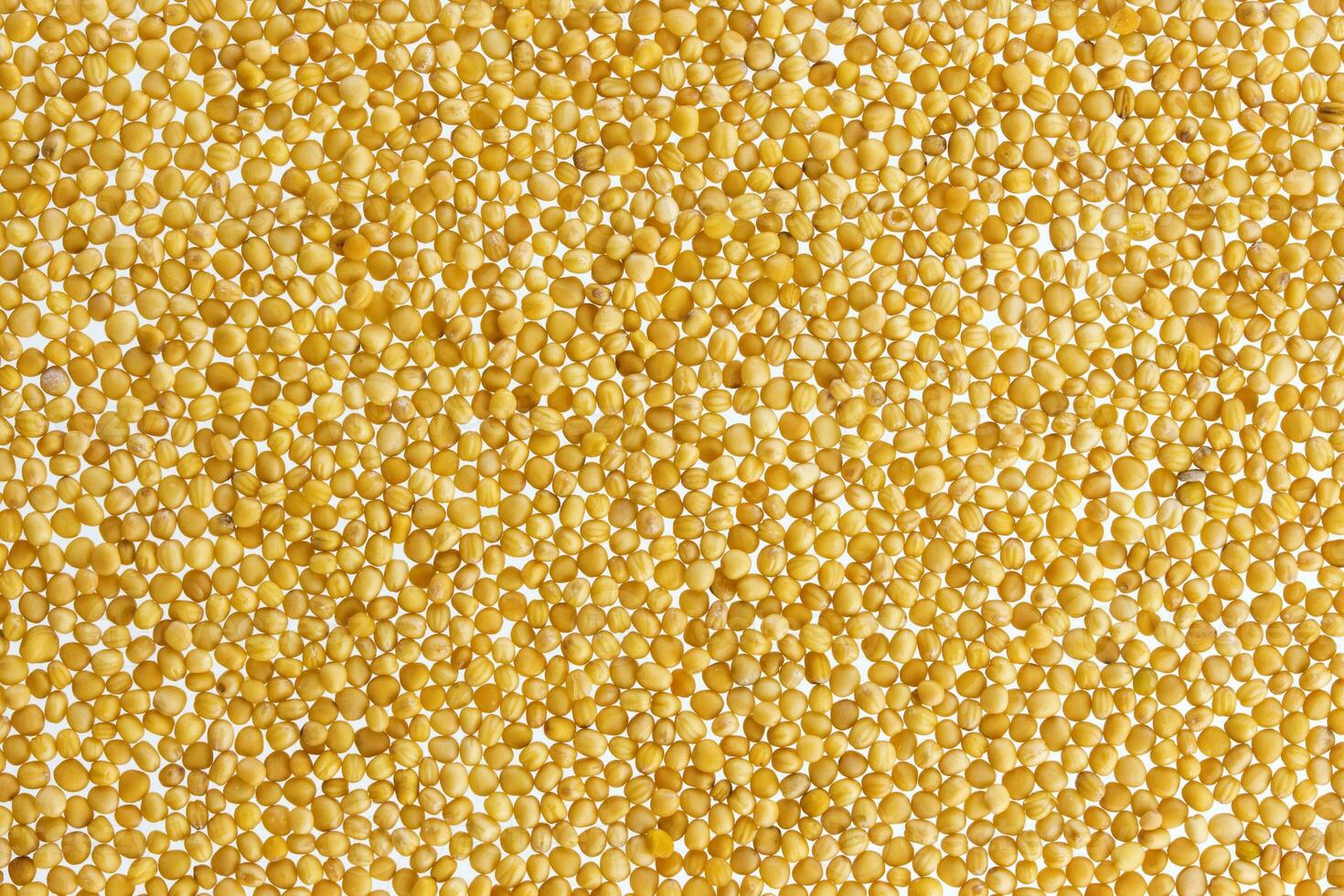 Yellow mustard seeds texture or background photo