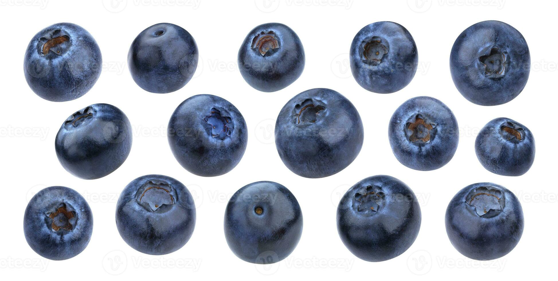 Blueberry isolated on white background with clipping path photo