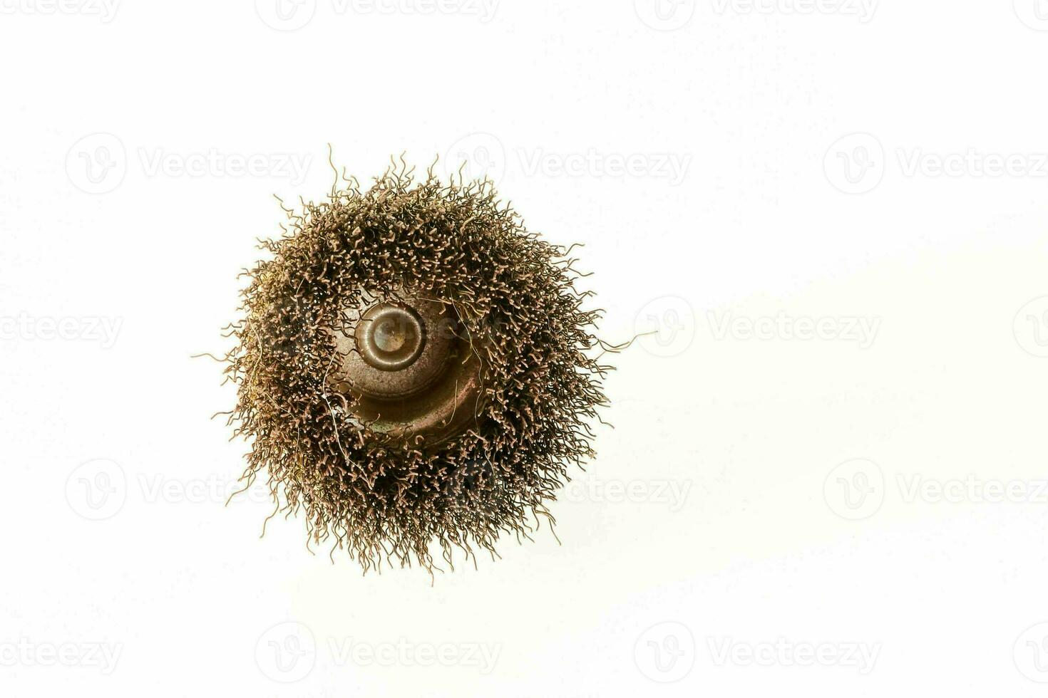 a brown spiky ball on a white background photo