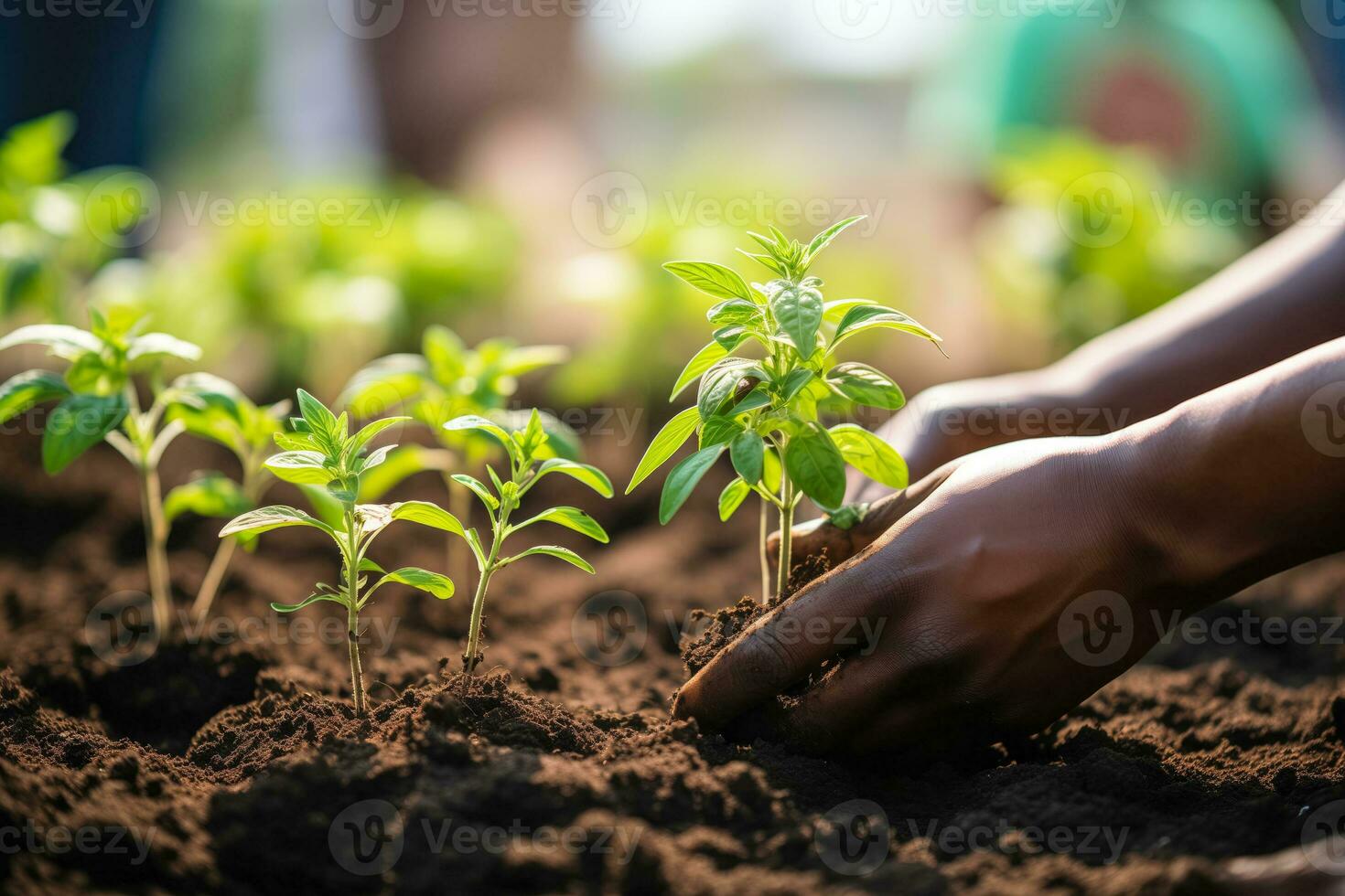 AI generated Community Hands at Work Planting Seedlings in a Garden with Space for Text photo