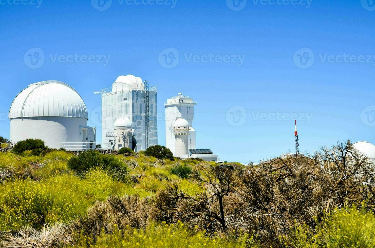 the telescopes are on top of a hill with bushes and trees photo