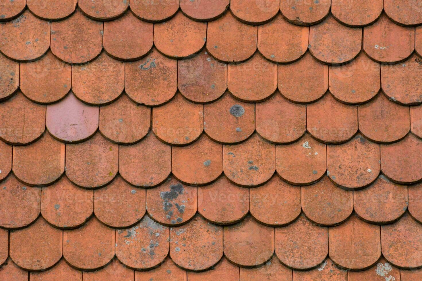 el techo de un casa es hecho de rojo losas foto