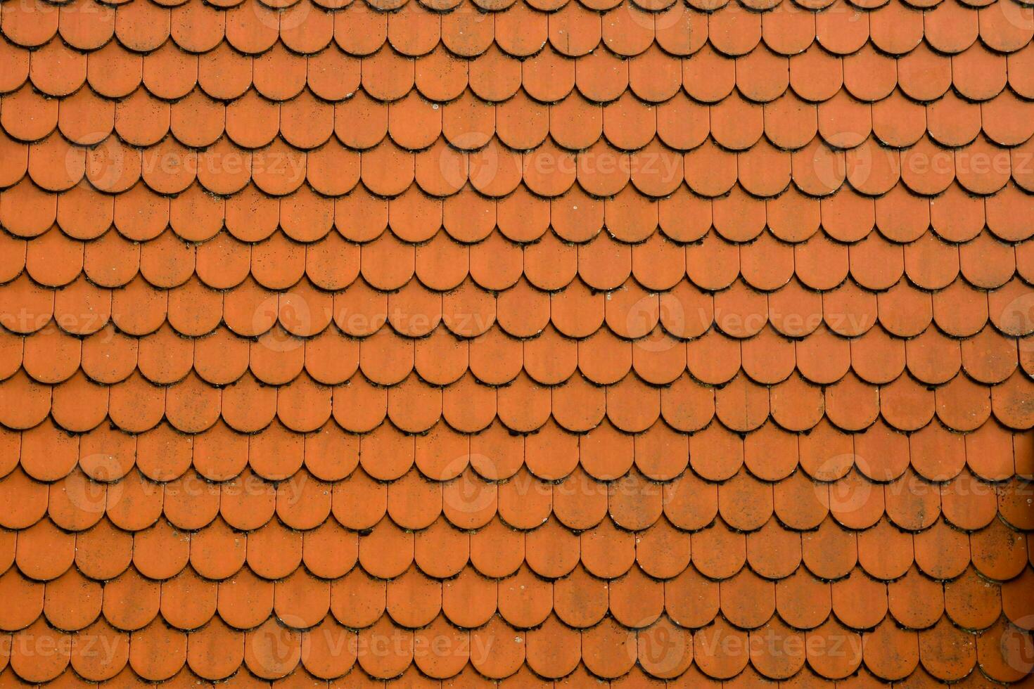 a roof with red tiles photo