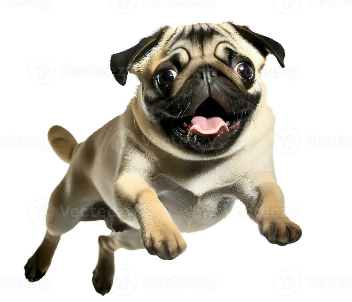 AI generated Cute pug puppy jumping. Playful dog cut out at background. photo