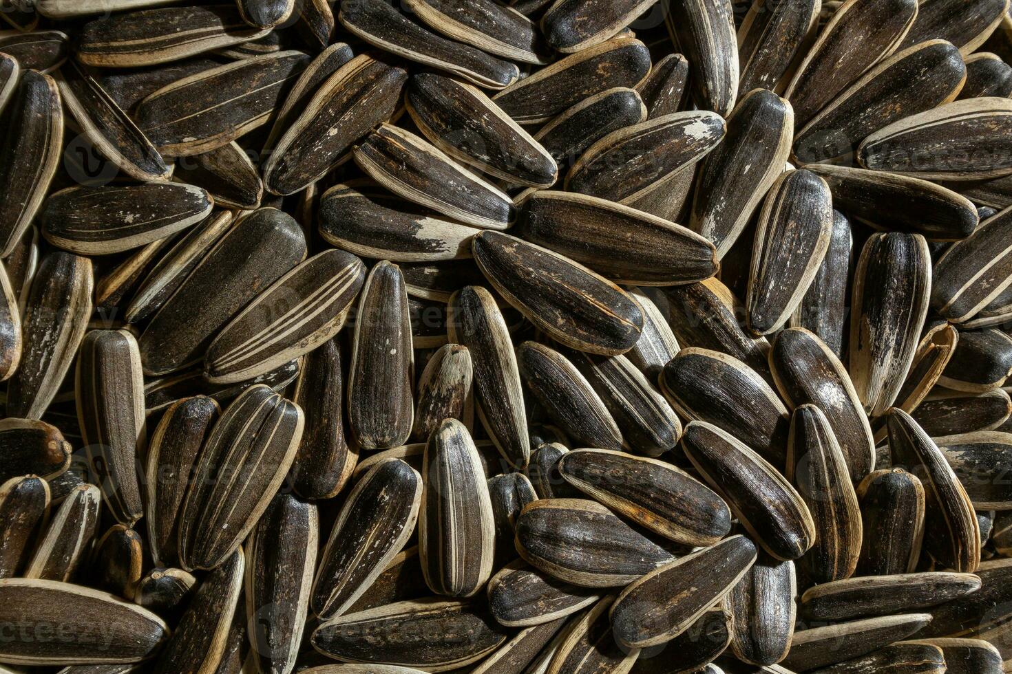 Non Salty Roasted Sunflower Seeds in Shell. A Culinary Canvas of Sunflower Kernels, Creating a Lively and Textured Background for Gourmet Cooking. Scattered Sun Flower Seeds - Top View, Flat Lay photo