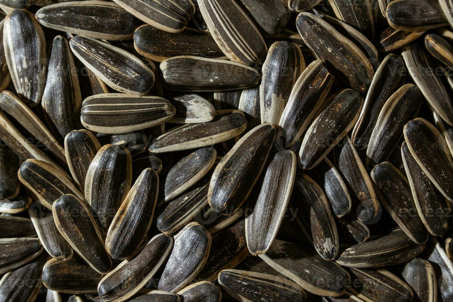 Non Salty Roasted Sunflower Seeds in Shell. A Culinary Canvas of Sunflower Kernels, Creating a Lively and Textured Background for Gourmet Cooking. Scattered Sun Flower Seeds - Top View, Flat Lay photo