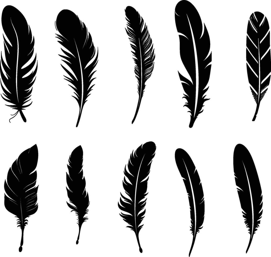 Vector group of black feather on white background. Easy editable layered vector illustration. AI generated illustration.