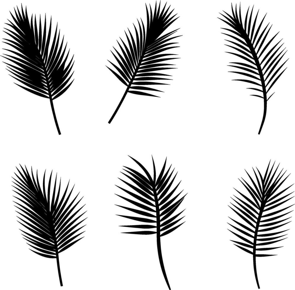 Set of black silhouettes of tropical leaves palms, trees. Vector. AI generated illustration. vector