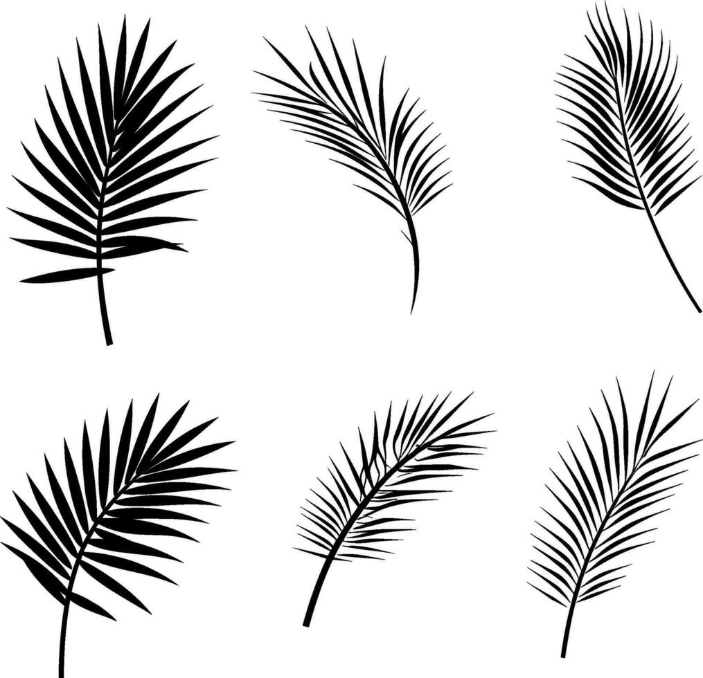 Set of black silhouettes of tropical leaves palms, trees. Vector. AI generated illustration. vector