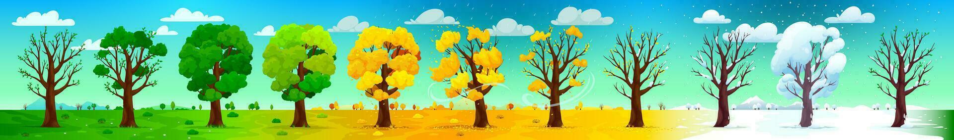 Four season trees landscape panoramic background vector