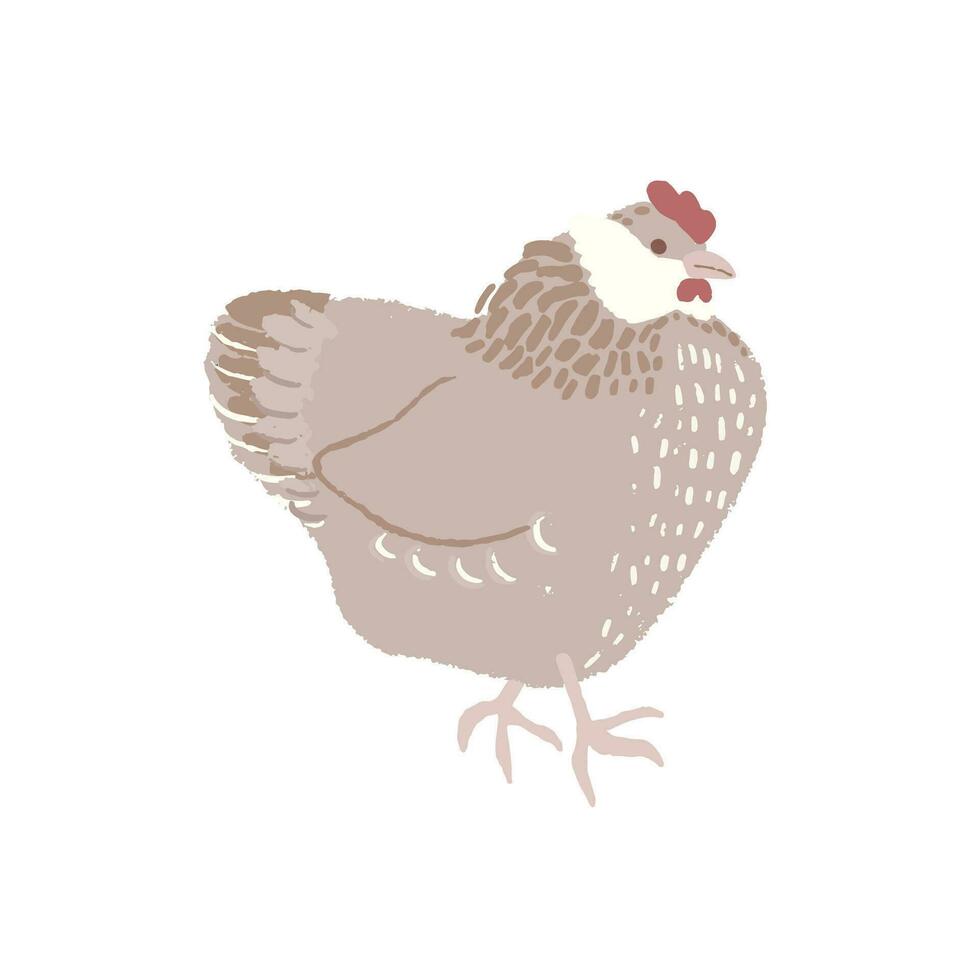 linda grasa pollo con textura en blanco antecedentes. plano gallina mano dibujado vector ilustración. Pascua de Resurrección pollo. diseño elemento.