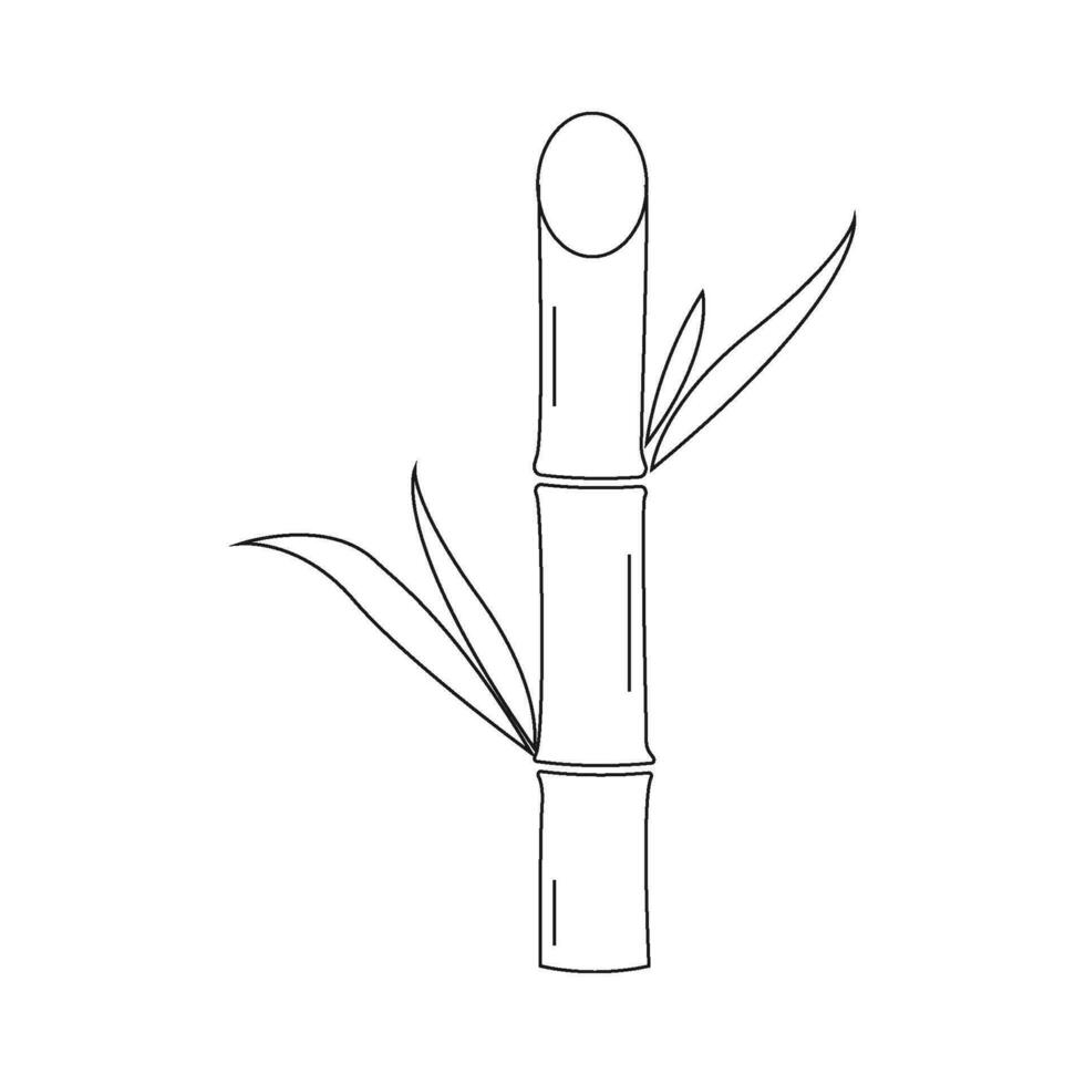 Sugar cane icon vector