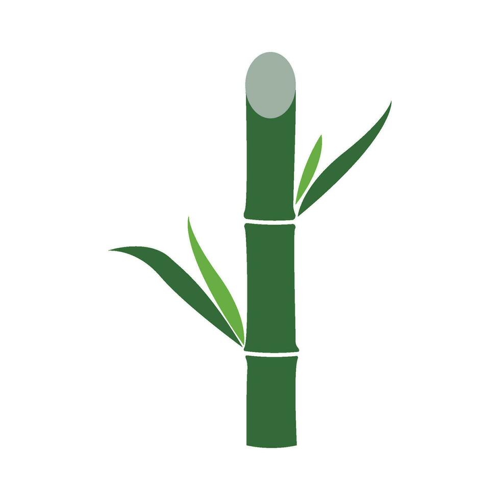 Sugar cane icon vector