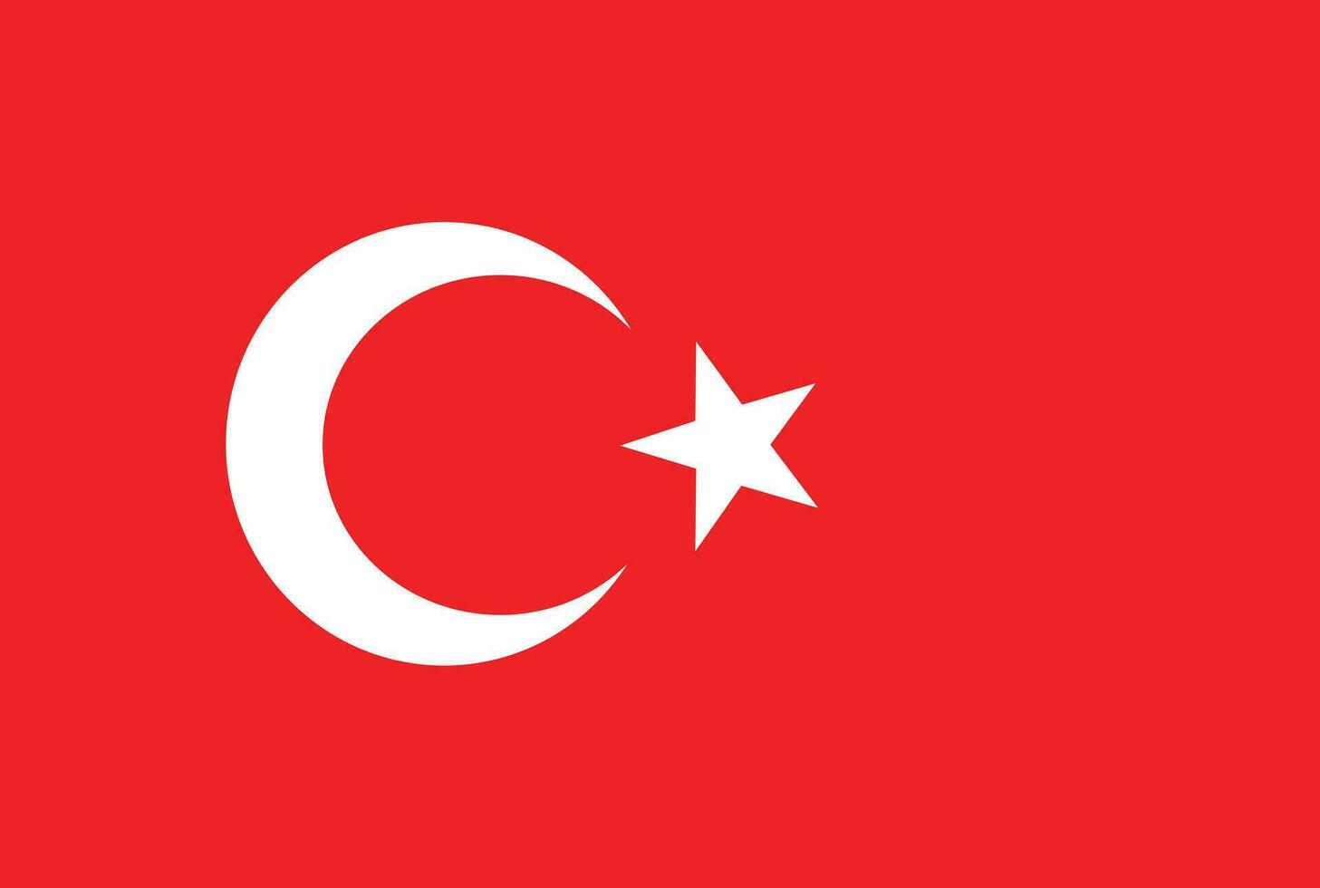 vector illustration of turey flag