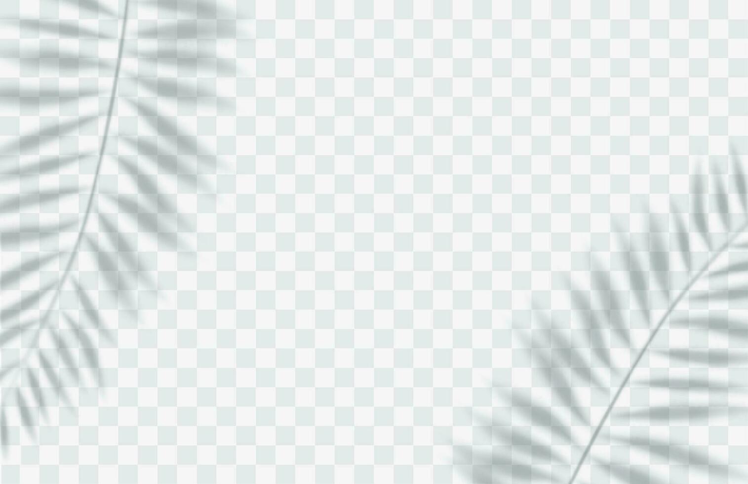 shadow overlay effect. Transparent soft light and shadows from branches, plant and leaf of a palm tree. Mockup of transparent leaf shadow and natural lightning.Vector illustration vector