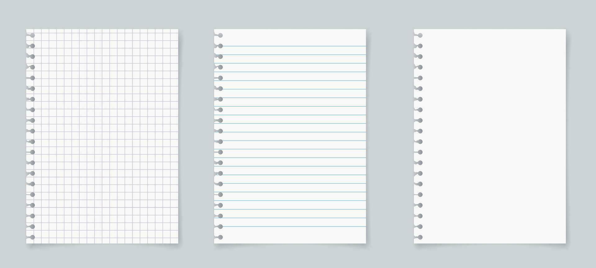 Set of realistic torn sheet of paper from a workbook with shadow, isolated on a gray background. paper sheets with lines and squares for memo. vector illustration.
