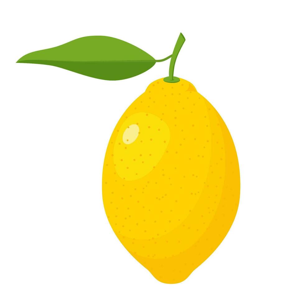 Fresh lemon fruits with leaves. A whole lemon. Yellow citrus isolated on white background. lemon icon for lemonade juice, vitamin C. Vector illustration in flat style