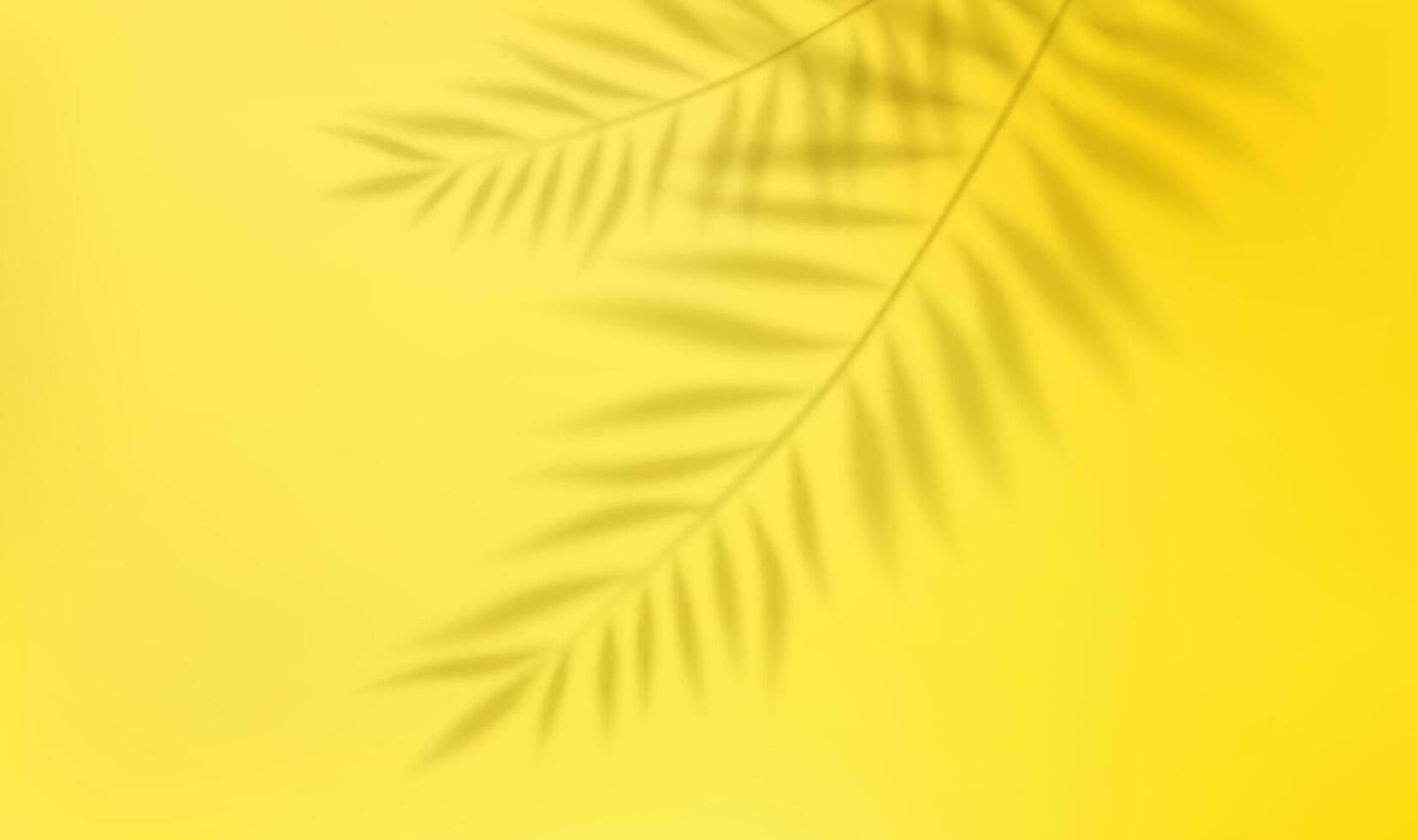 3d Empty light studio abstract background with spotlight effect and tropical palm leaves shadow. concept for your graphic design poster banner and backdrop. 3d rendering. Vector illustration