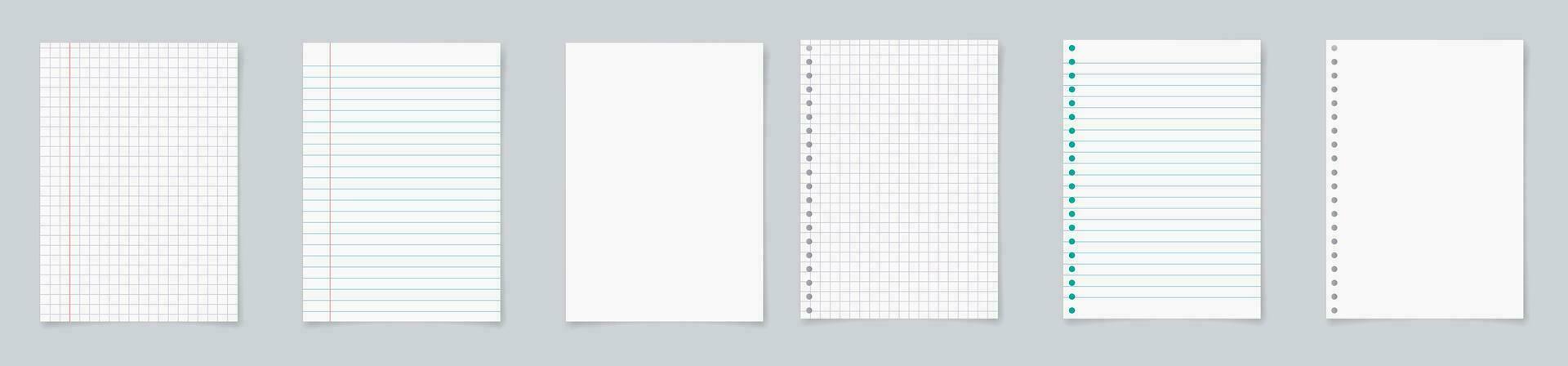 Paper page of notebook. School sheet with lines and grid. Notepad for mathematics and letter. Realistic blank notepaper with shadow isolated on gray background. vector illustration.