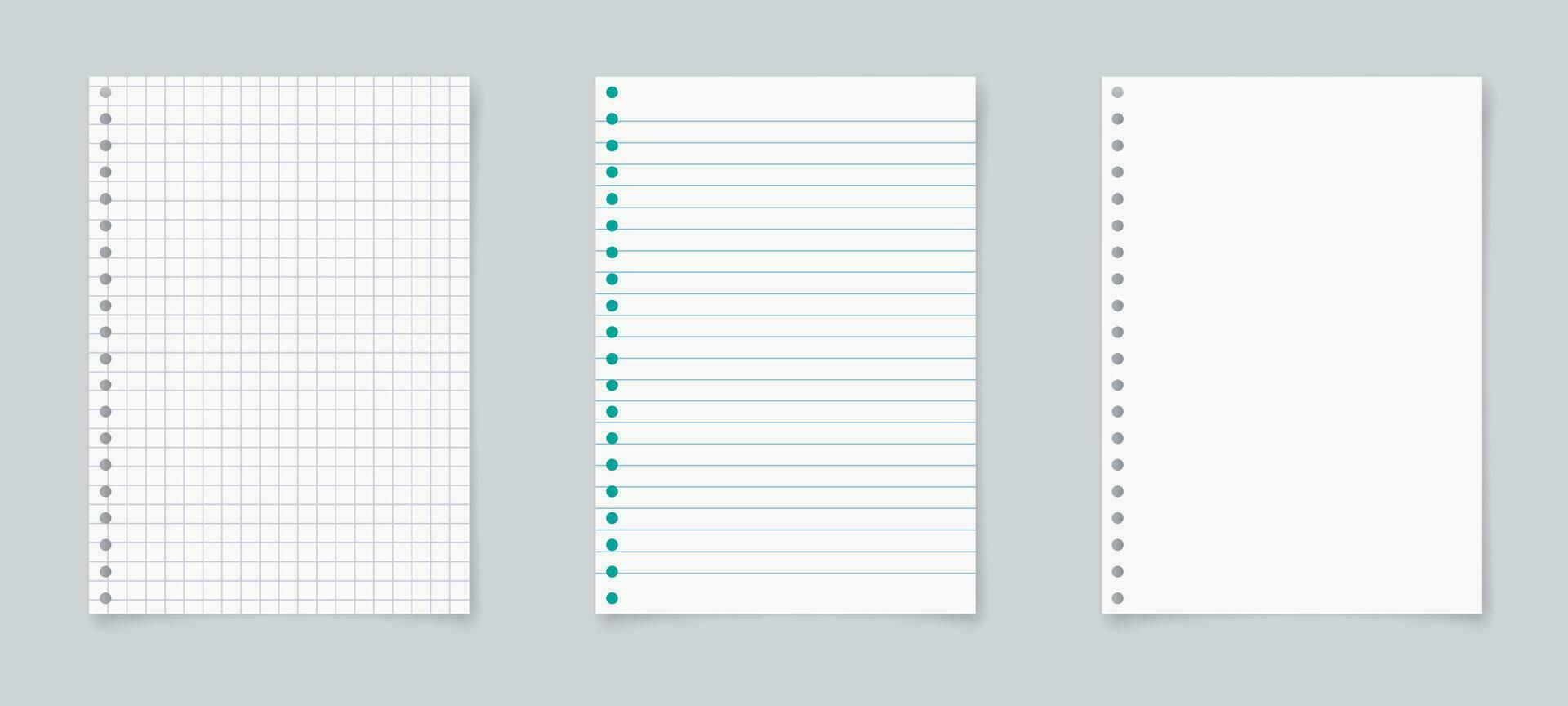 Paper page of notebook. School sheet with lines and grid. Notepad for mathematics and letter. Realistic blank notepaper with shadow isolated on gray background. vector illustration.