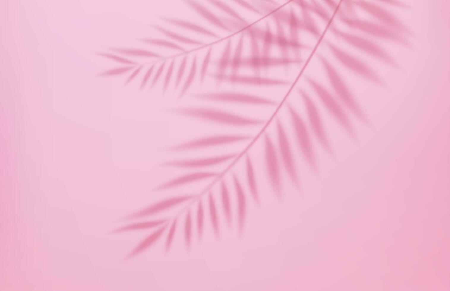 3d Empty light studio abstract background with spotlight effect and tropical palm leaves shadow. concept for your graphic design poster banner and backdrop. 3d rendering. Vector illustration