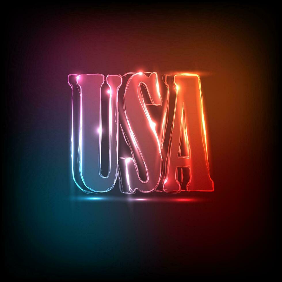 Glowing neon inscription USA vector