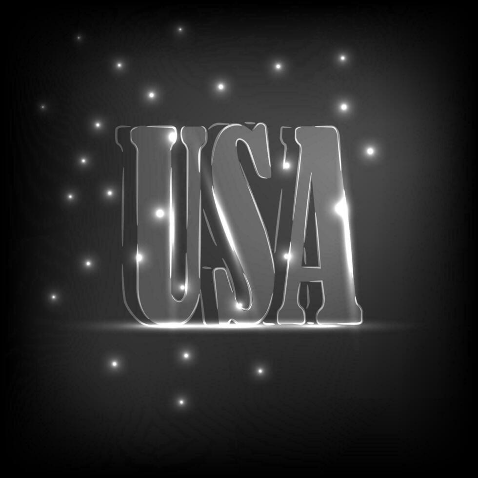 Glowing neon inscription USA vector
