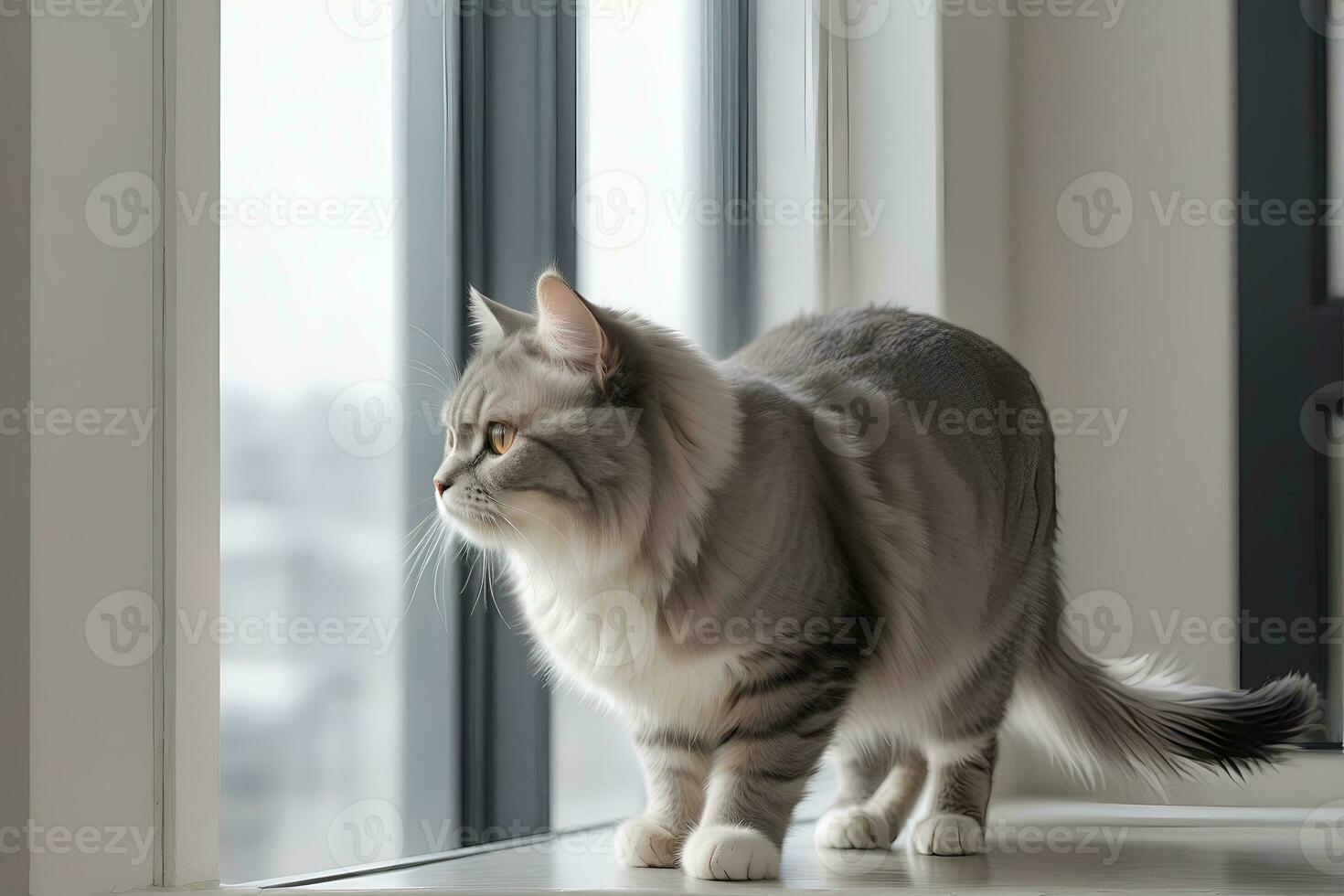 AI generated image of a cute cat seated on a windowsill photo
