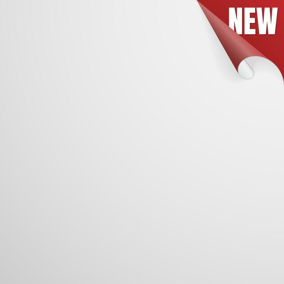 New Paper Sheet With Red Curled Corner. Vector