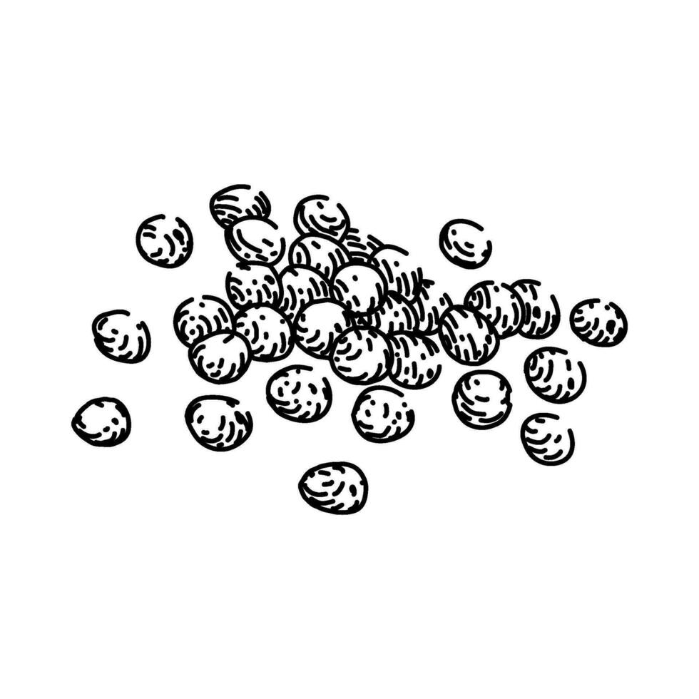 healthy millet sketch hand drawn vector