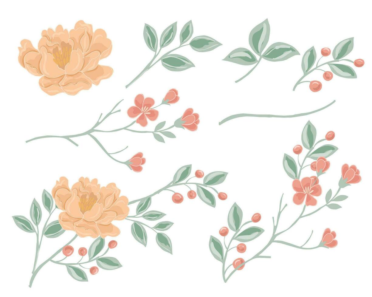 Hand Drawn Soft Rose and Blossom Flower vector