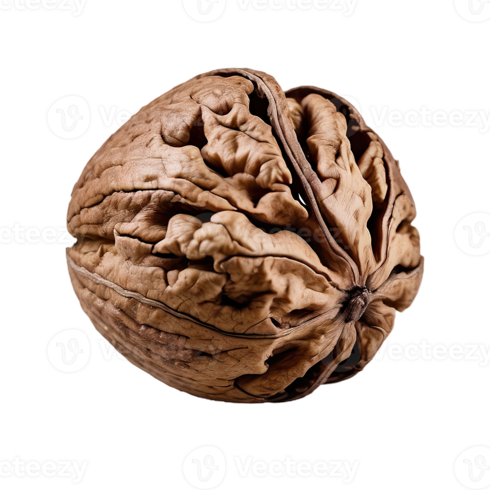 AI generated walnut isolated on transparent background png