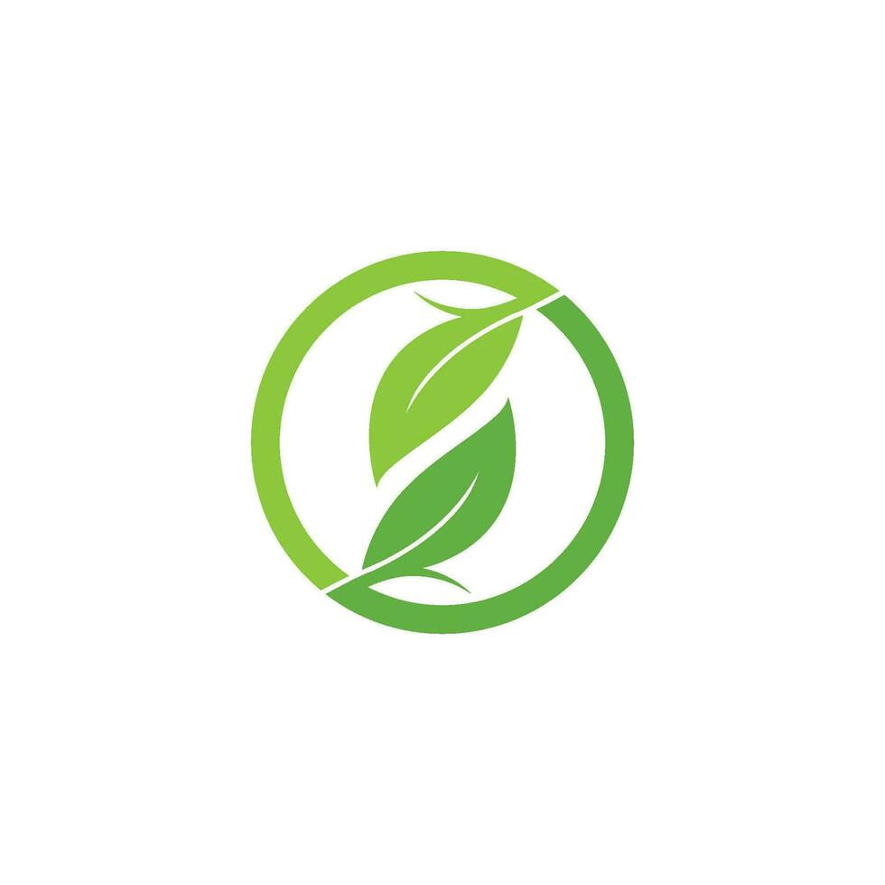 logotipos de la ecología de la hoja del árbol verde vector