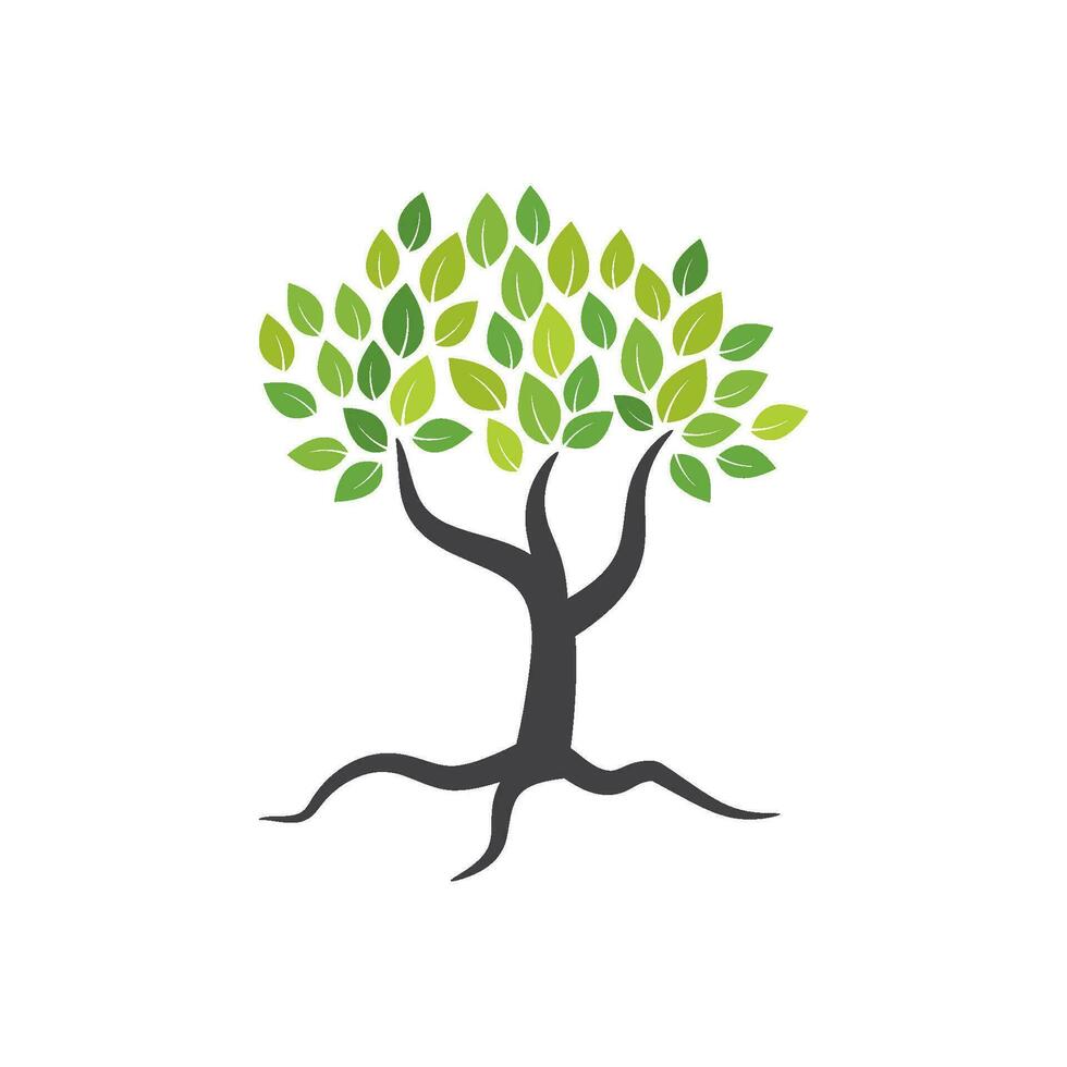 Tree branch vector ilustration design