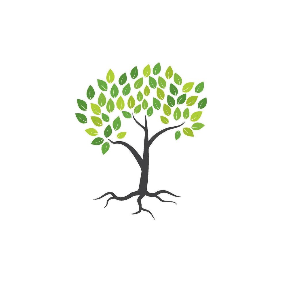 Tree branch vector ilustration design